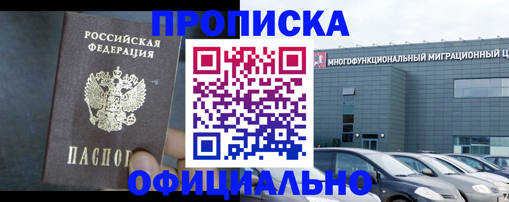 прописка 2025 в Звенигово
